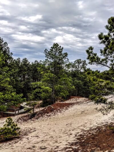 Savage Neck Dunes State Natural Area Preserve Parking Lot - Cape Charles, VA