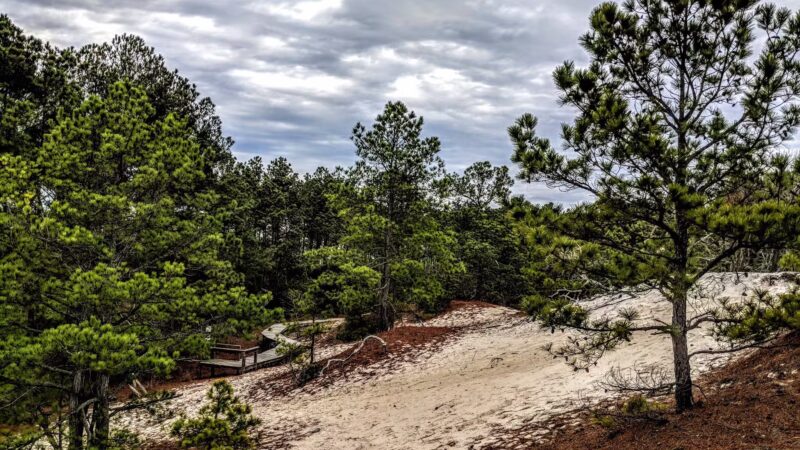 Savage Neck Dunes State Natural Area Preserve Parking Lot - Cape Charles, VA