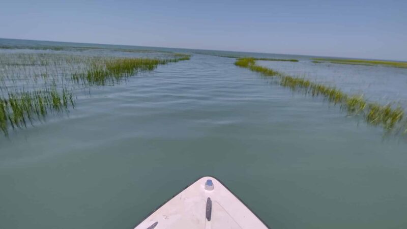Wreck Island Natural Area Preserve - Cape Charles, VA