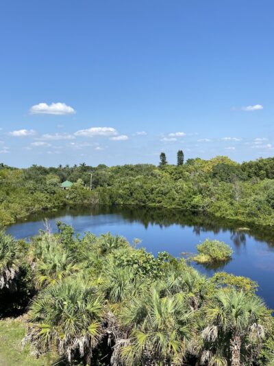 Rotary Park - Cape Coral, FL