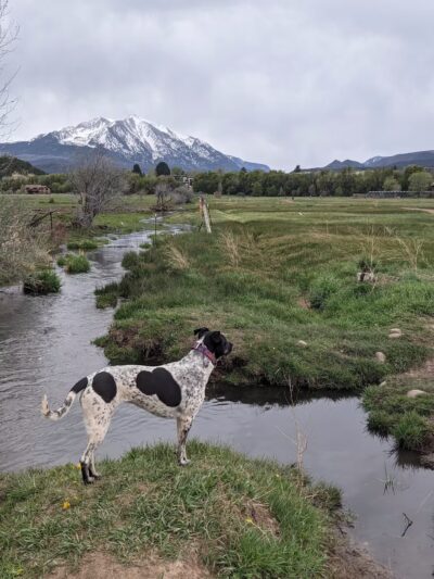Carbondale Nature Park - Carbondale, CO