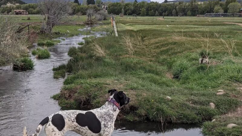 Carbondale Nature Park - Carbondale, CO