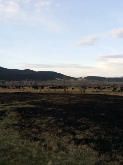 Carbondale Nature Park - Carbondale, CO