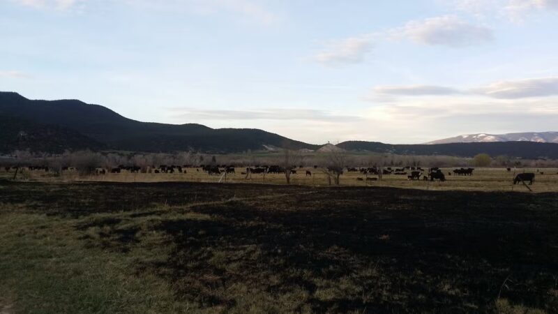 Carbondale Nature Park - Carbondale, CO