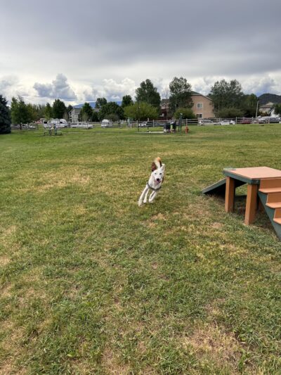 Hendrick Dog Park - Carbondale, CO