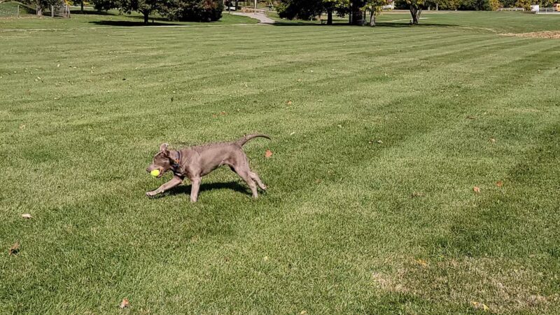 Carlock City Park - Carlock, IL