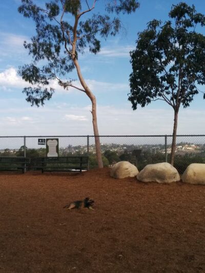 Dog Park - Carlsbad, CA