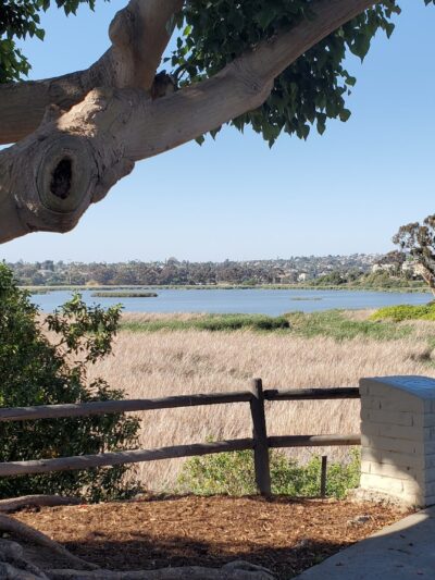 Maxton Brown Park - Carlsbad, CA