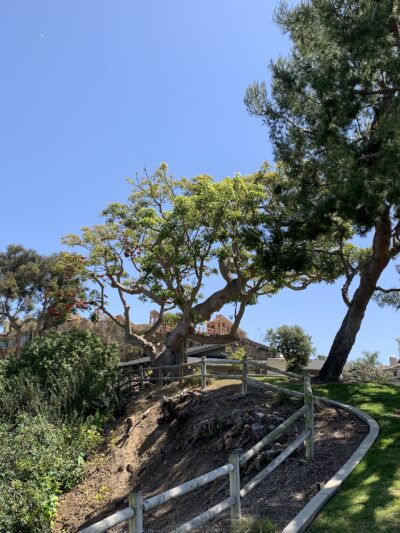 Maxton Brown Park - Carlsbad, CA