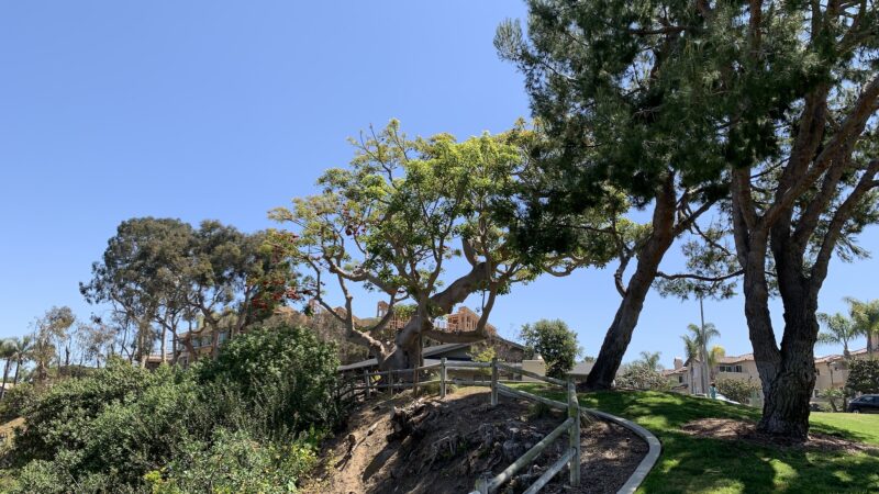 Maxton Brown Park - Carlsbad, CA
