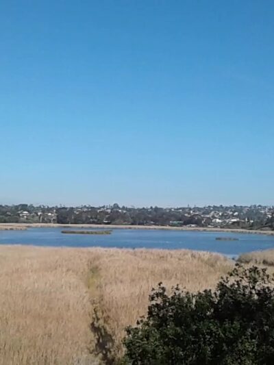 Maxton Brown Park - Carlsbad, CA