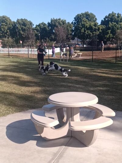Poinsettia Dog Park - Carlsbad, CA