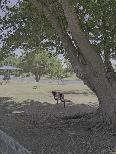 City Of Carlsbad Dog Park - Carlsbad, NM