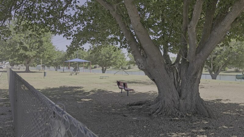 City Of Carlsbad Dog Park - Carlsbad, NM