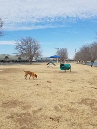 City Of Carlsbad Dog Park - Carlsbad, NM