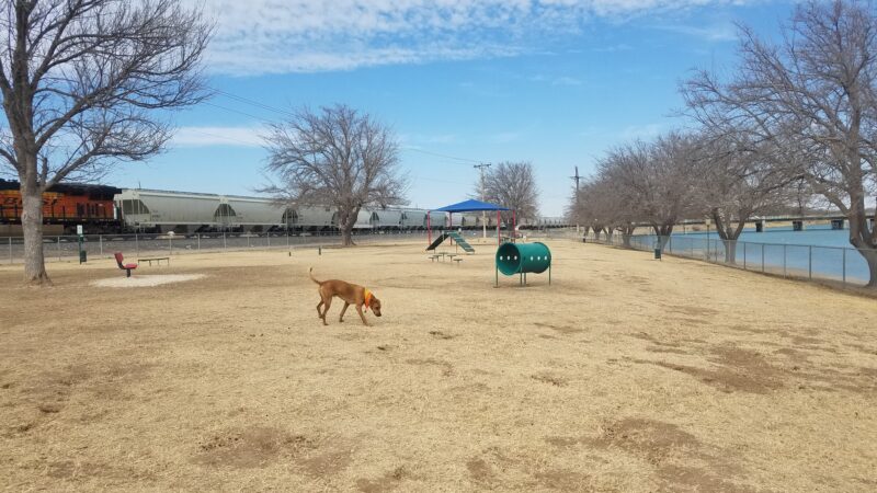 City Of Carlsbad Dog Park - Carlsbad, NM