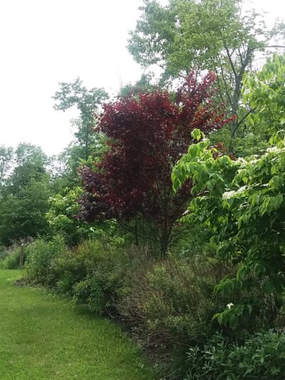 Camarda Park - Carmel Hamlet, NY