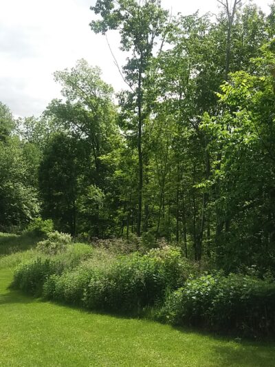 Camarda Park - Carmel Hamlet, NY