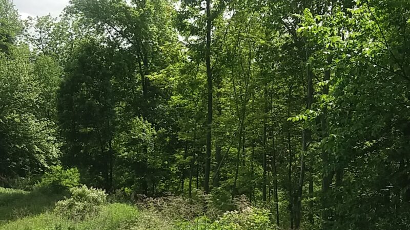 Camarda Park - Carmel Hamlet, NY