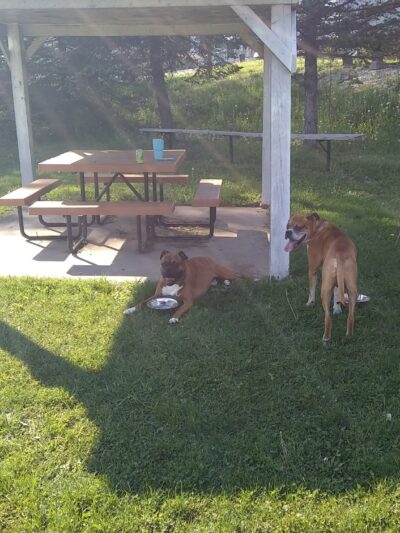 Nemacolin Park - Carmichaels, PA