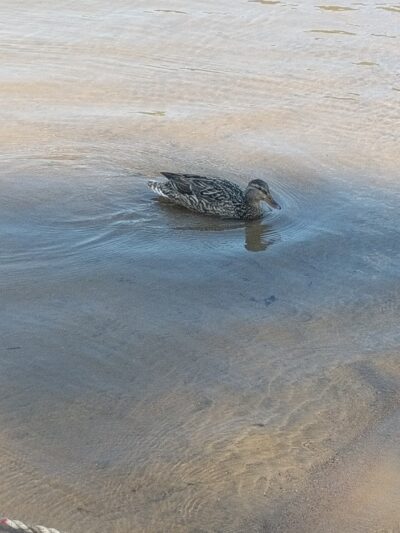 Pine Lake Park - Caroga Lake, NY
