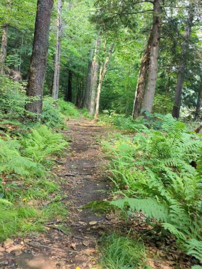 Nine Corner Lake Trailhead - Caroga, NY