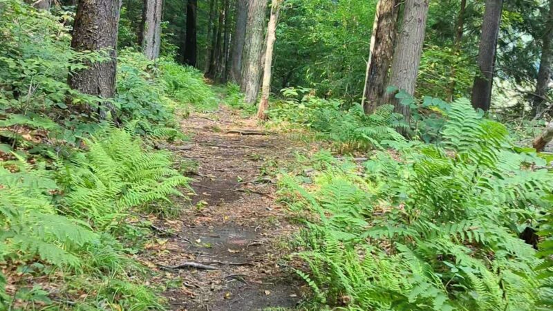 Nine Corner Lake Trailhead - Caroga, NY