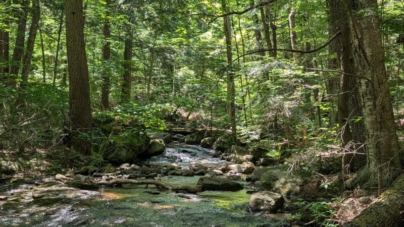 Nine Corner Lake Trailhead - Caroga, NY