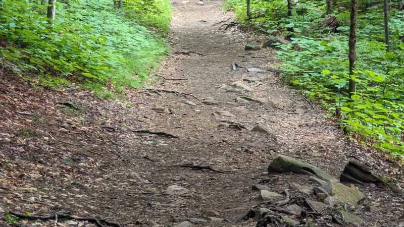 Nine Corner Lake Trailhead - Caroga, NY