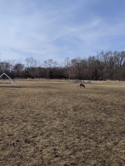Bark Park - Carol Stream, IL
