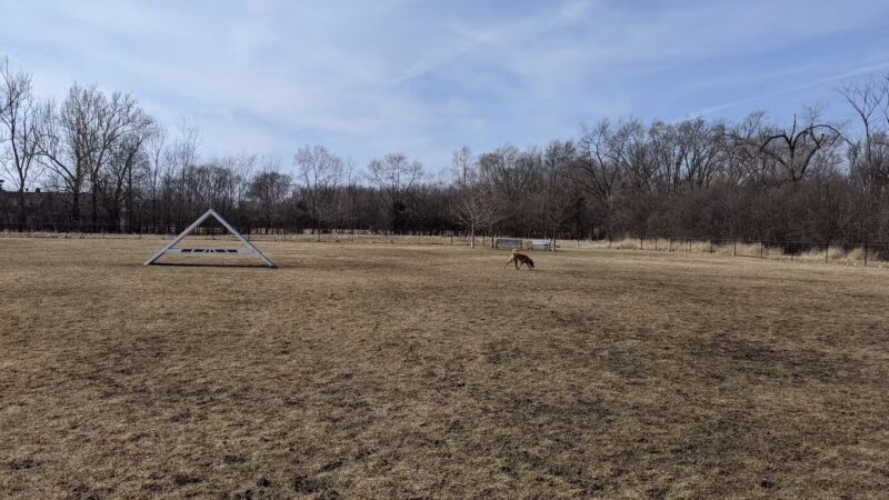 Bark Park - Carol Stream, IL