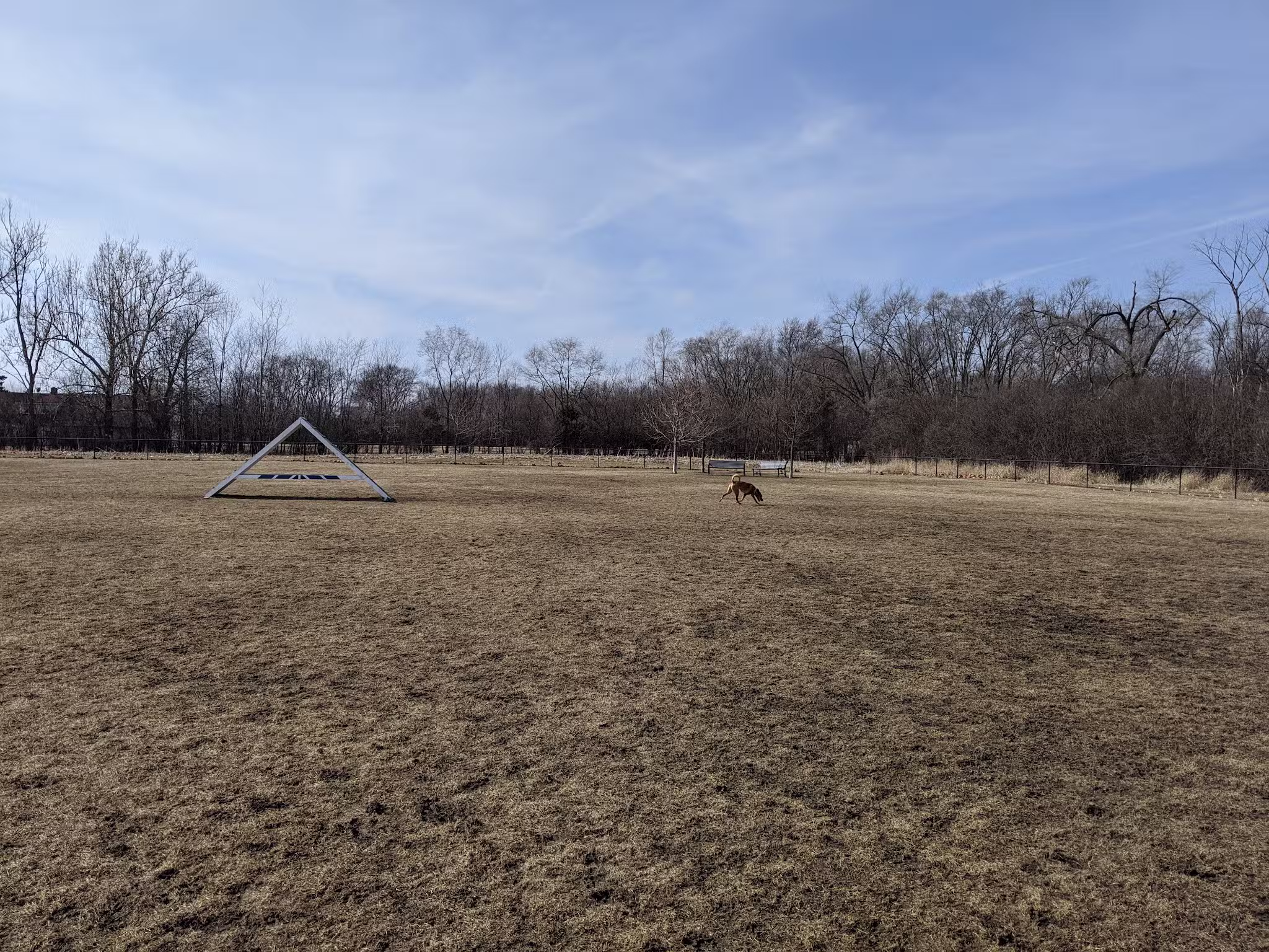 Bark Park - Carol Stream, IL