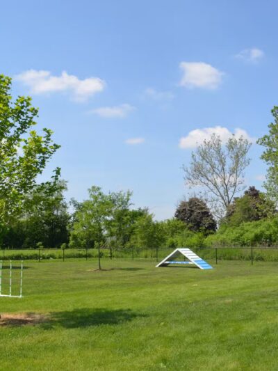 Bark Park - Carol Stream, IL