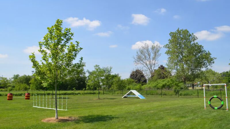Bark Park - Carol Stream, IL