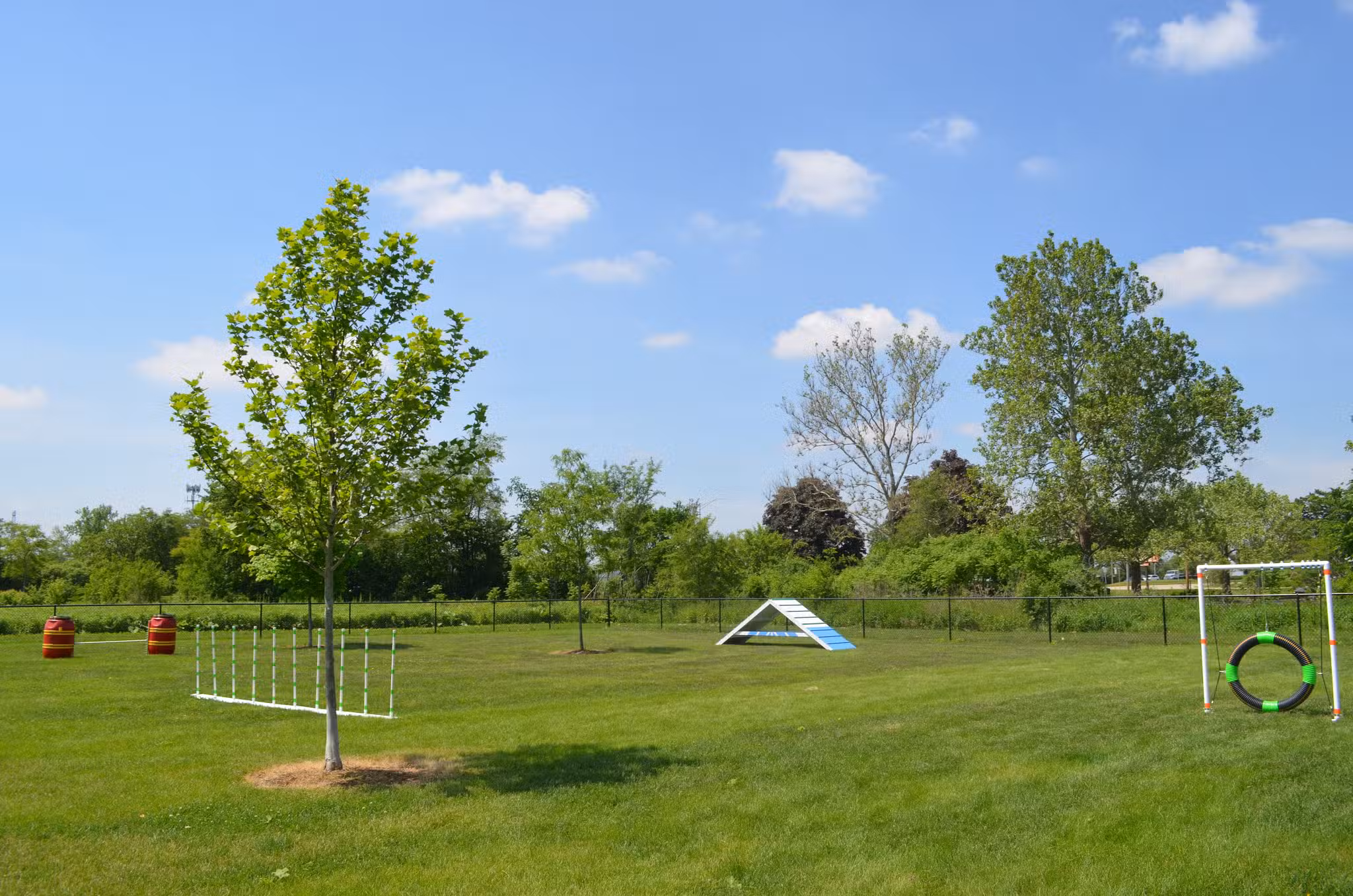 Bark Park - Carol Stream, IL