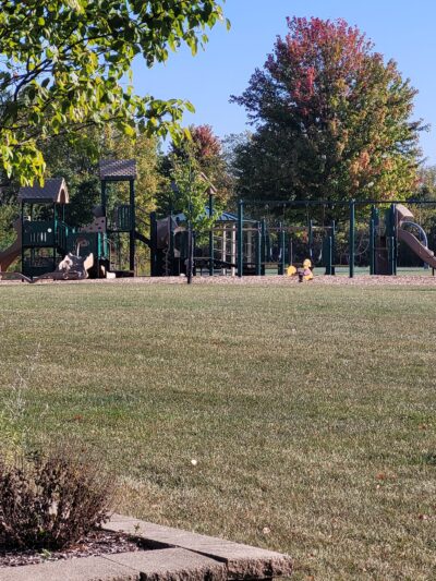 Grandview Park - Carpentersville, IL