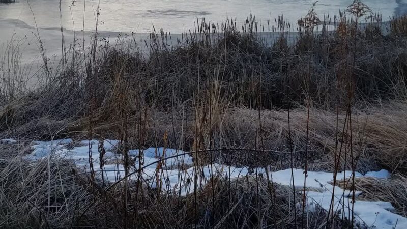 Grandview Park - Carpentersville, IL