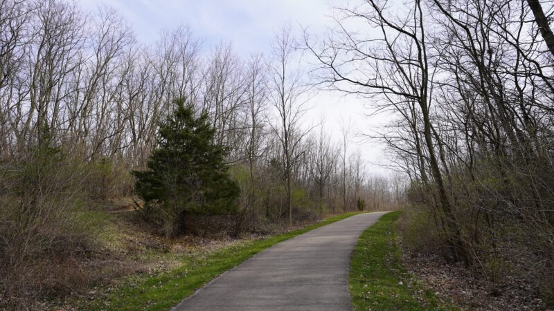 Raceway Woods East Parking Area - Carpentersville, IL