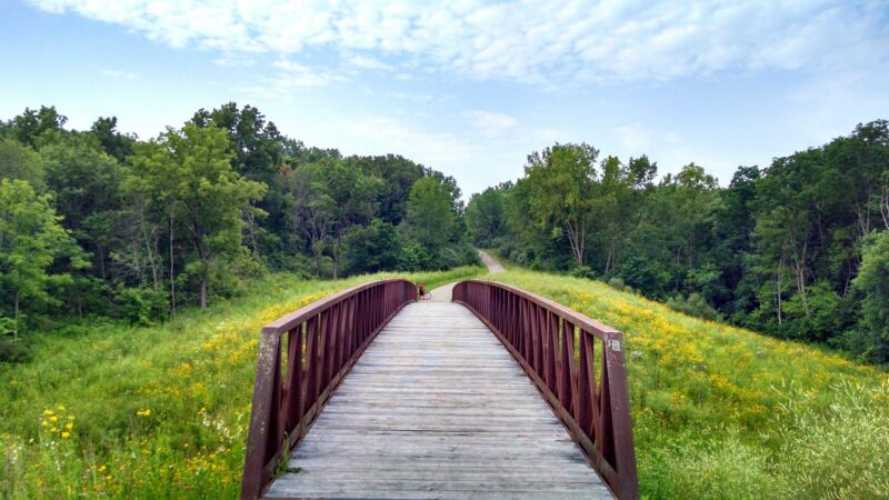 Raceway Woods Forest Preserve - Carpentersville, IL