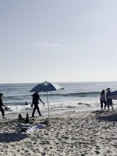 Carpinteria Dog Beach - Carpinteria, CA
