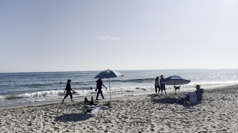 Carpinteria Dog Beach - Carpinteria, CA