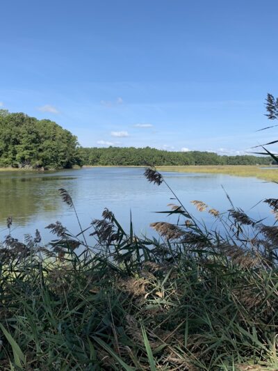 Nike Park, Isle of Wight Parks And Recreation - Carrollton, VA