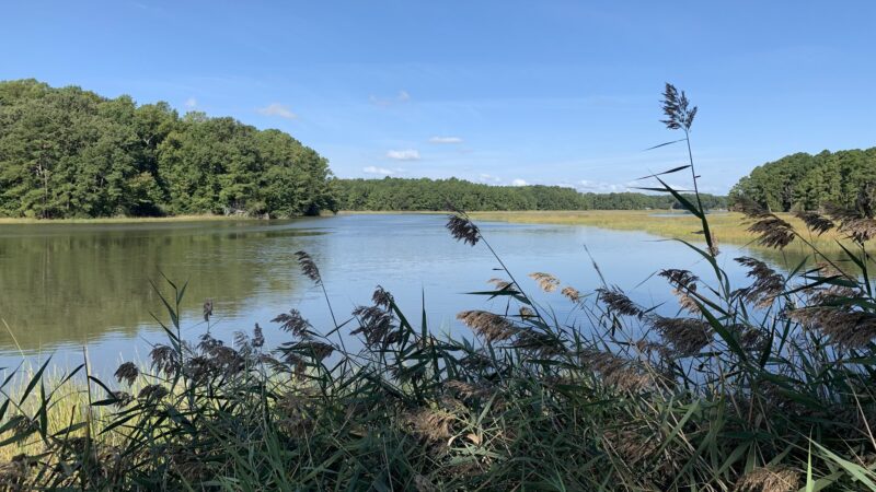 Nike Park, Isle of Wight Parks And Recreation - Carrollton, VA