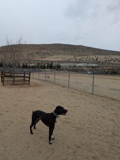 Fuji Park Dog Park - Carson City, NV