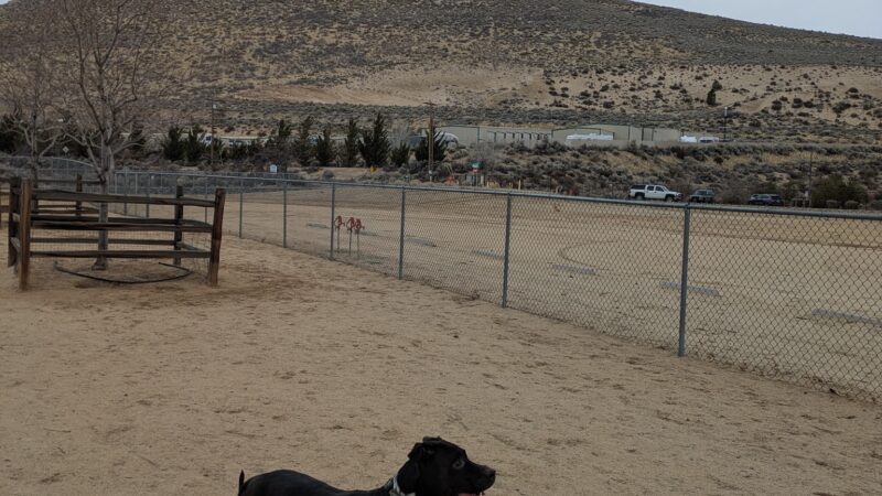 Fuji Park Dog Park - Carson City, NV