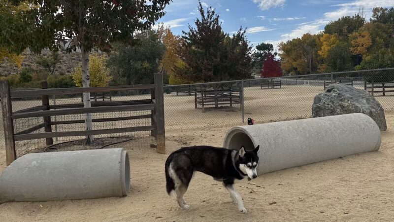 Fuji Park Dog Park - Carson City, NV