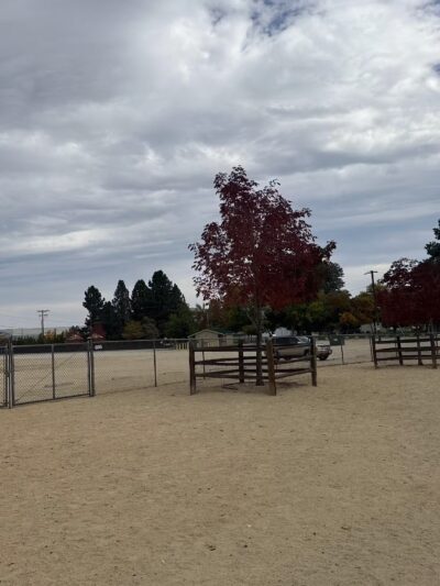 Fuji Park Dog Park - Carson City, NV