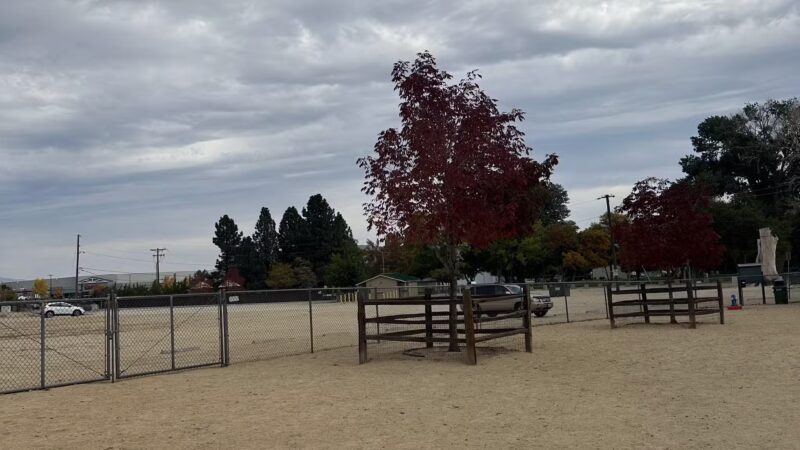 Fuji Park Dog Park - Carson City, NV