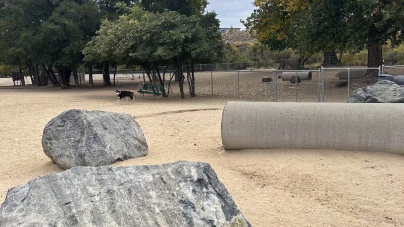 Fuji Park Dog Park - Carson City, NV