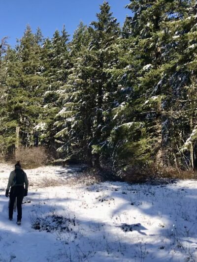 Grassy Knoll Trailhead - Carson, WA